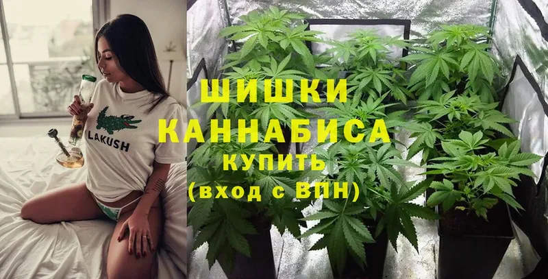 shop как зайти  Ясногорск  Конопля LSD WEED 